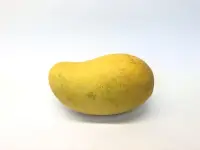 مانجو استوائية