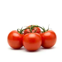 Fresh Tomatoes